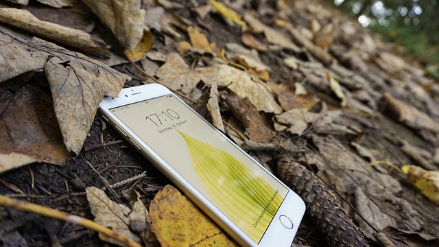 Apple сообщила об увеличении объёмов производства iPhone 11 ввиду высокого спроса