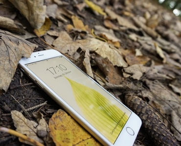 Apple сообщила об увеличении объёмов производства iPhone 11 ввиду высокого спроса